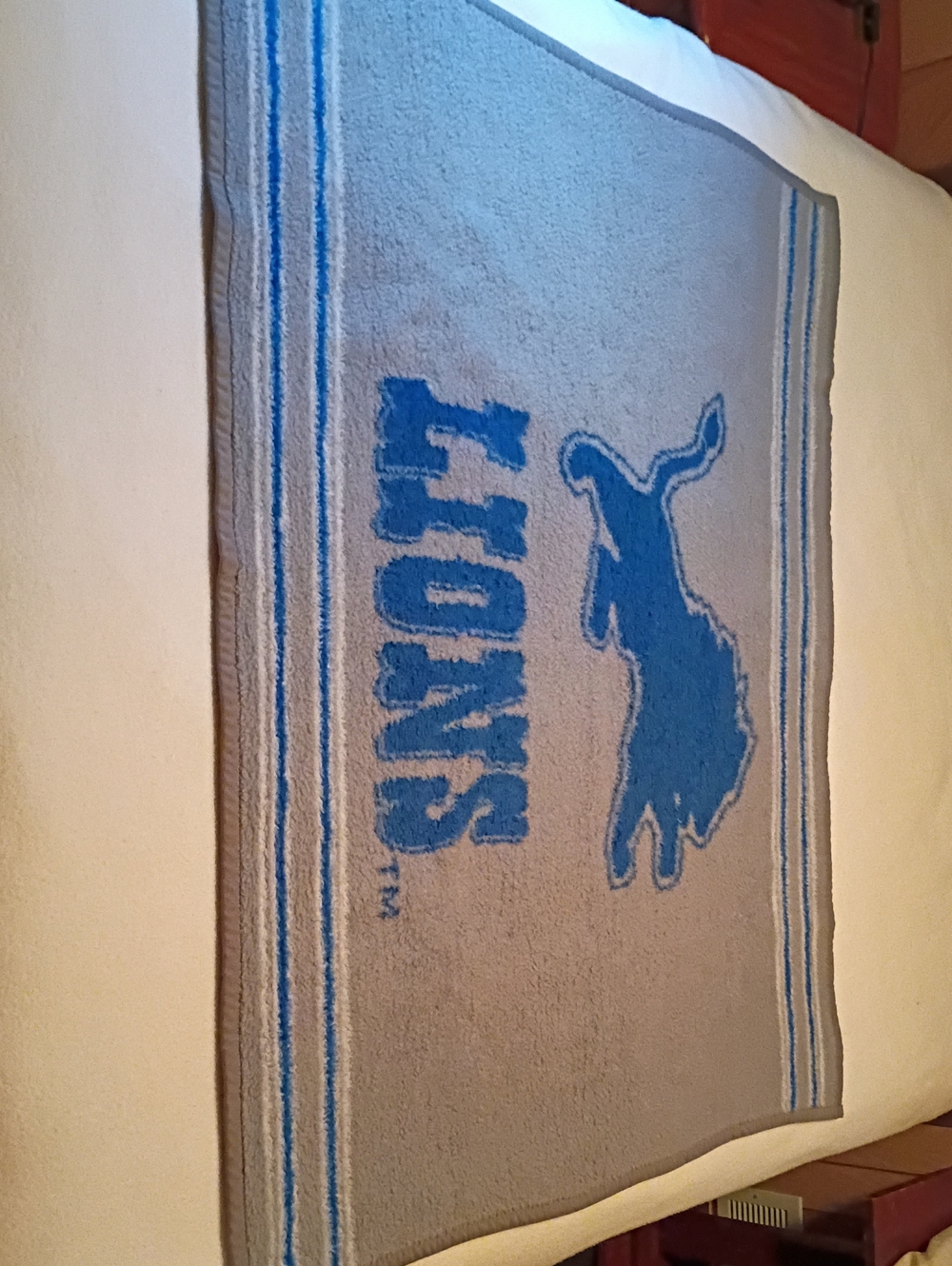 Detroit Lions Gray and Blue Stadium Blanket Throw